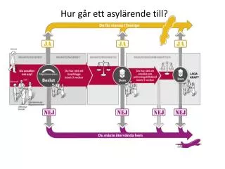 hur g r ett asyl rende till