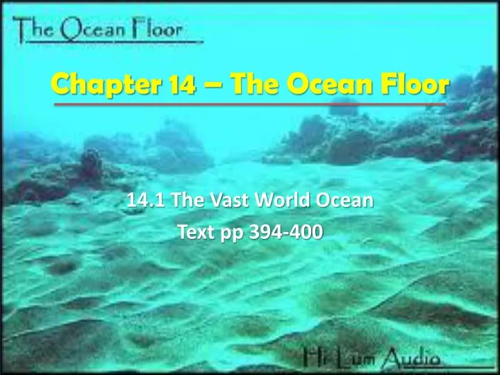 chapter 14 the ocean floor