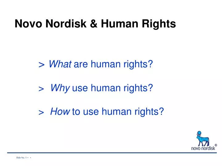 n ovo nordisk human rights what are human rights why use human rights how to use human rights