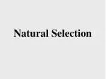 Natural Selection - slide 1