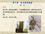 第十章 林木根部病害 概 说 - slide 1