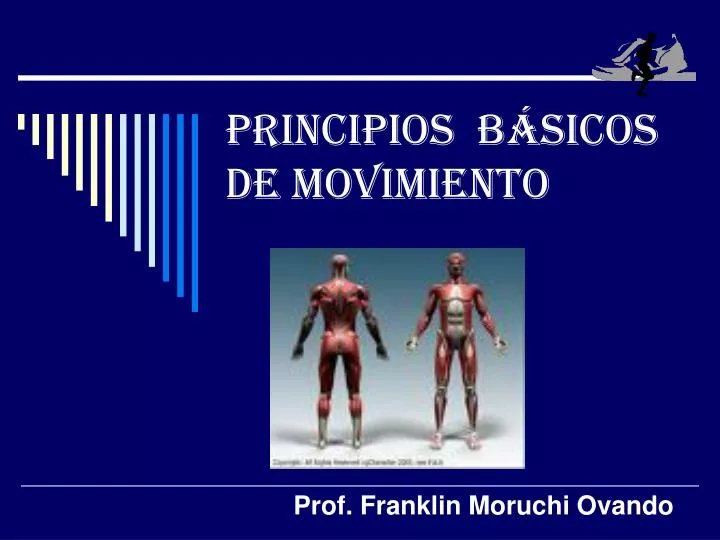 PPT - PRINCIPIOS BÁSICOS DE MOVIMIENTO PowerPoint Presentation, Free ...