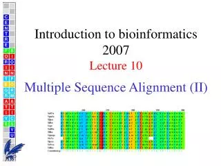 Multiple Sequence Alignment (II)
