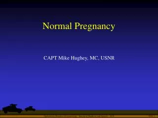 Normal Pregnancy