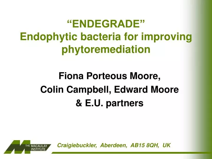 endegrade endophytic bacteria for improving phytoremediation