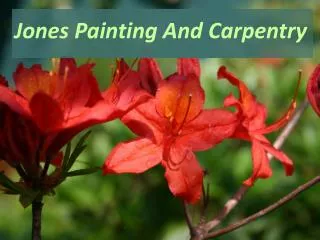 Ohio Painting Services:Jones Painting And Carpentry
