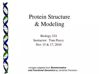 Protein Structure &amp; Modeling