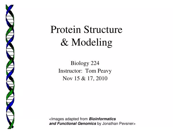 protein structure modeling