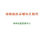 动物组织石蜡切片制作 - slide 1