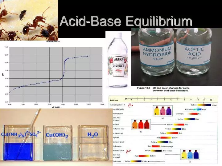 acid base equilibrium