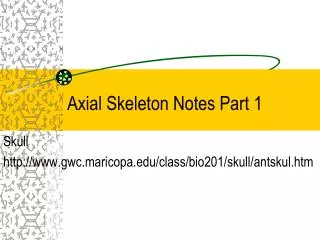 Axial Skeleton Notes Part 1