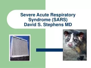 Severe Acute Respiratory Syndrome (SARS) David S. Stephens MD