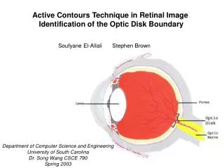 Active Contours Technique in Retinal Image Identification of the Optic Disk Boundary