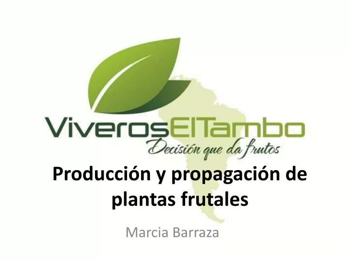 producci n y propagaci n de plantas frutales