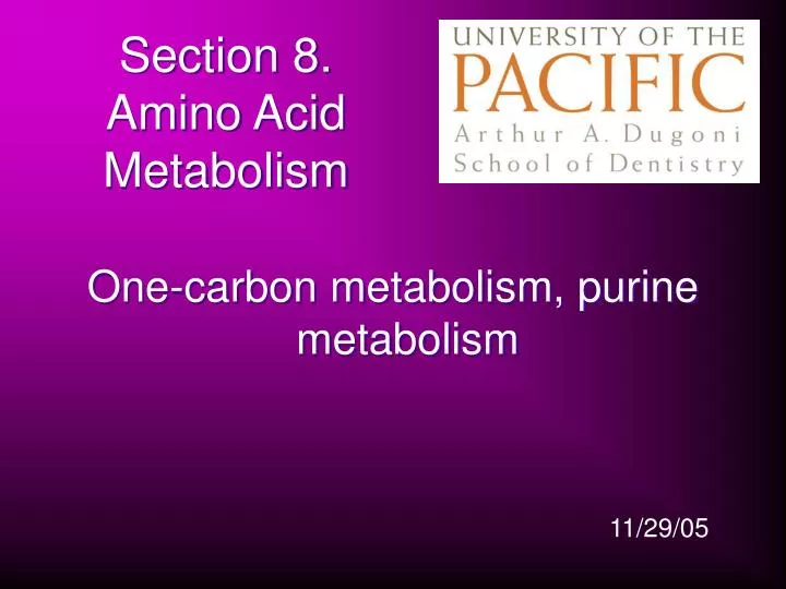 section 8 amino acid metabolism