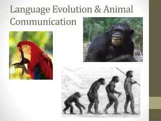 Language Evolution &amp; Animal Communication