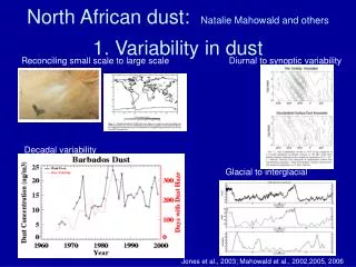 1. Variability in dust