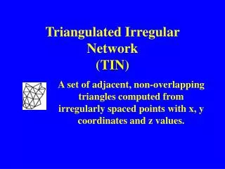 Triangulated Irregular Network ( TIN )