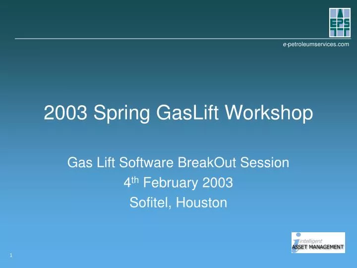 2003 spring gaslift workshop