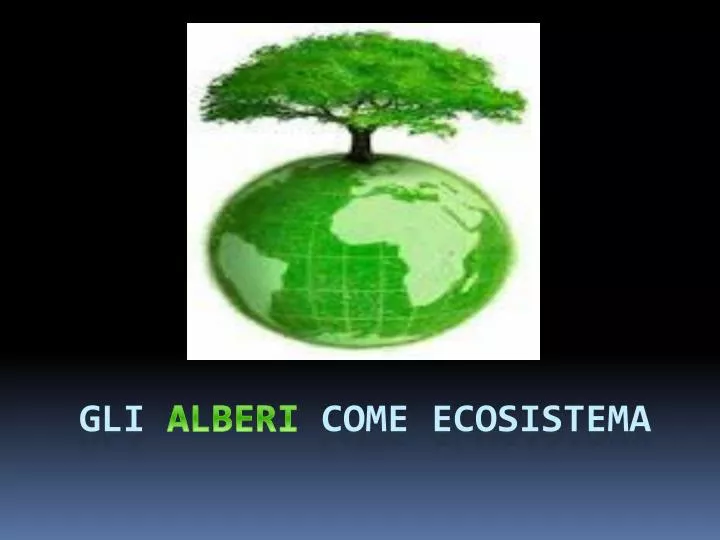 gli alberi come ecosistema