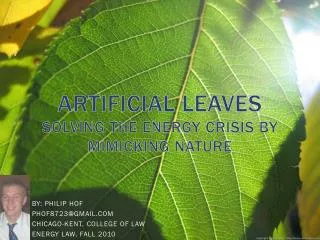 Artificial leaves Solving the energy crisis by mimicking nature