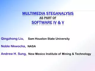 Multimedia Steganalysis as Part of Software IV &amp; V