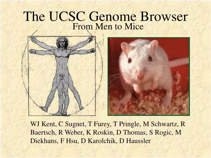 the ucsc genome browser