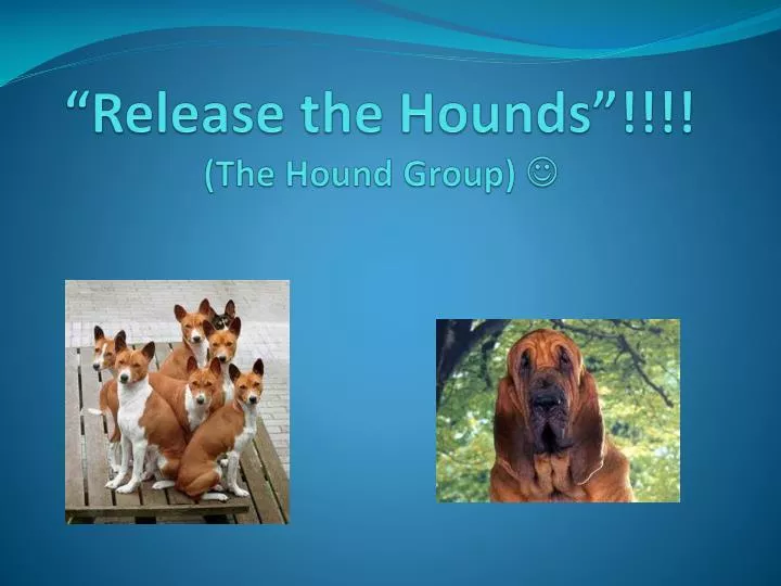 release the hounds the hound group