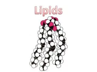 Lipids