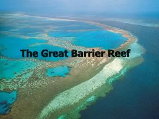 The Great Barrier Reef