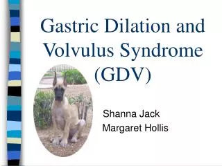 Gastric Dilation and Volvulus Syndrome (GDV)