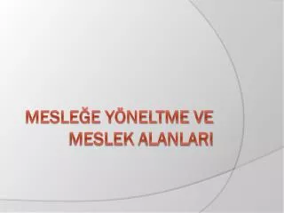 mesle e y neltme ve meslek alanlari