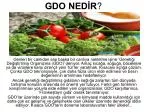 GDO NEDİR ? - slide 1