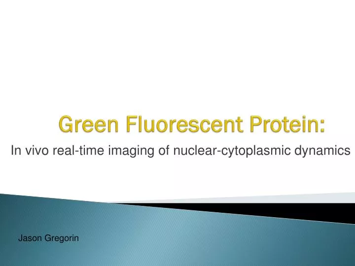 green fluorescent protein