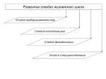 Развитие стадий жизненного цикла - slide 1