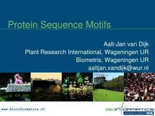 Protein Sequence Motifs