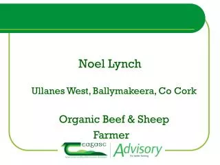 Noel Lynch Ullanes West, Ballymakeera, Co Cork Organic Beef &amp; Sheep Farmer