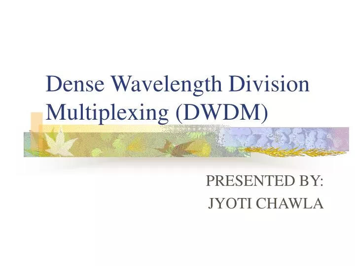 dense wavelength division multiplexing dwdm