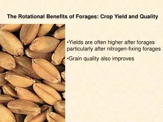 The Rotational Benefits of Forages: Crop Yield and Quality