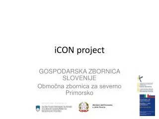 icon project