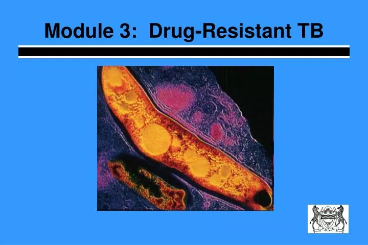 module 3 drug resistant tb