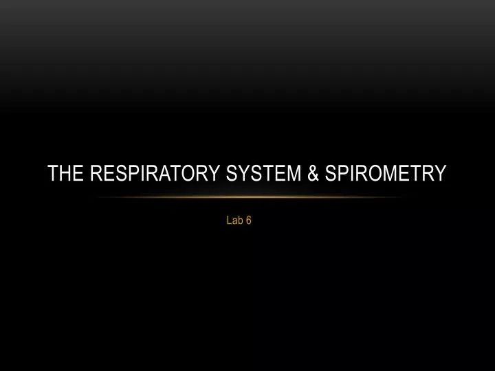 the respiratory system spirometry