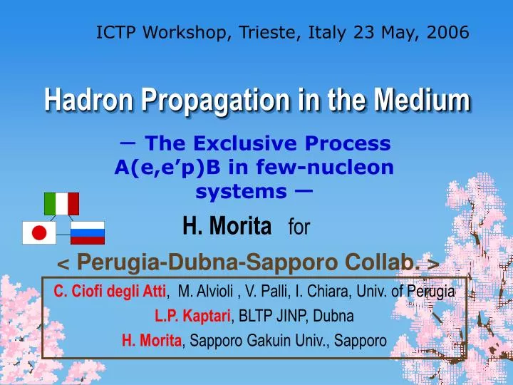 hadron propagation in the medium