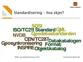 standardisering hva skjer