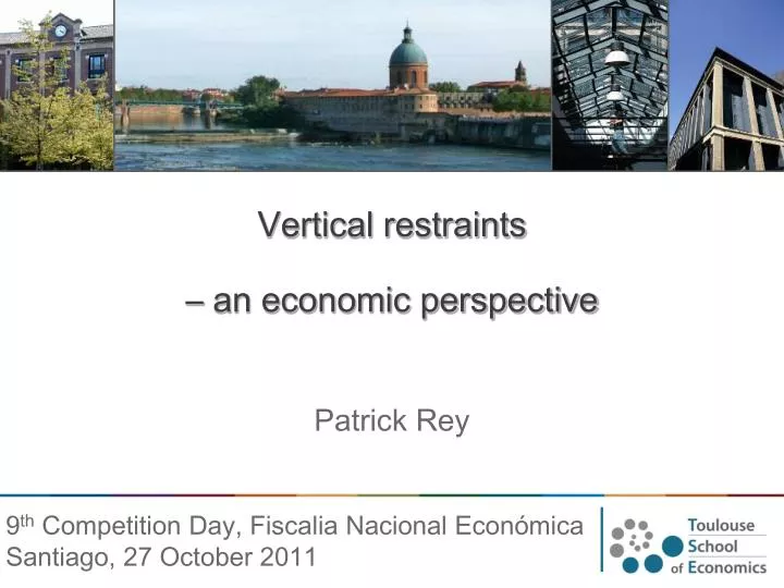 vertical restraints an economic perspective patrick rey