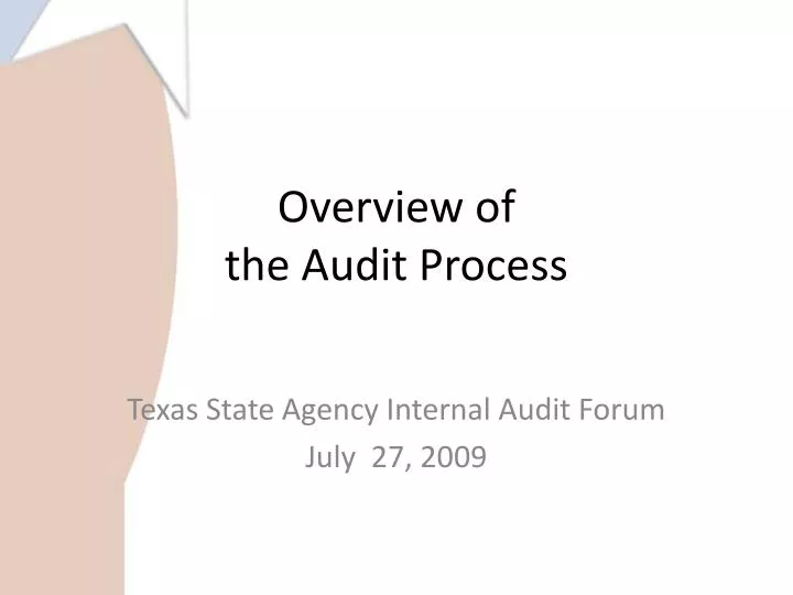 overview of the audit process