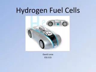 Hydrogen Fuel Cells