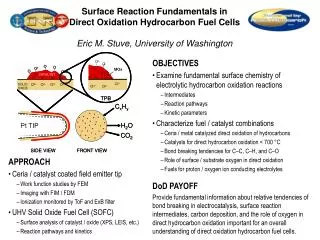 Surface Reaction Fundamentals in Direct Oxidation Hydrocarbon Fuel Cells