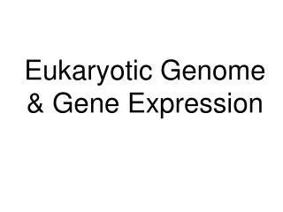 Eukaryotic Genome &amp; Gene Expression