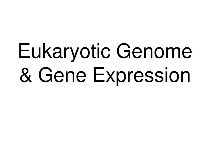 eukaryotic genome gene expression